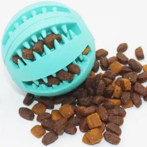 Feeding ball dog