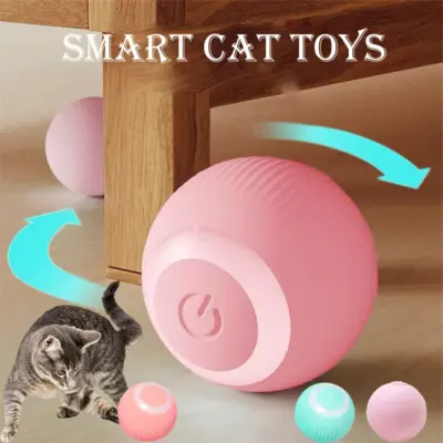smart cat toy